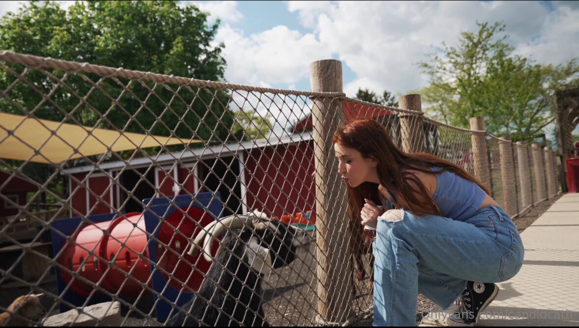 Life s all about the little things part 1 