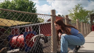 Life s all about the little things part 1