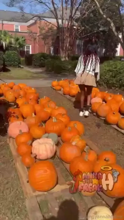 Fucking pumpkins at the pumpkin patch wyd if you saw me 