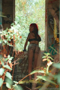 A wild tiger spotted in the jungle