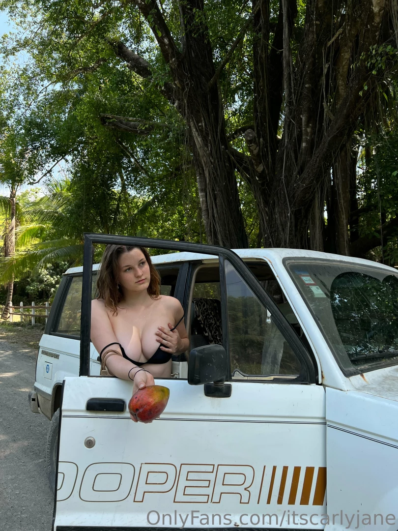 Stop right here get out of the vehicle and raise your hands in the air 