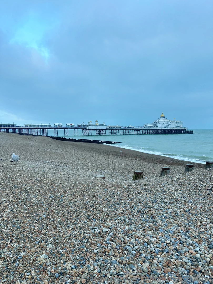 England traveled to eastbourne today https onlyfans com linneas-life part 1 