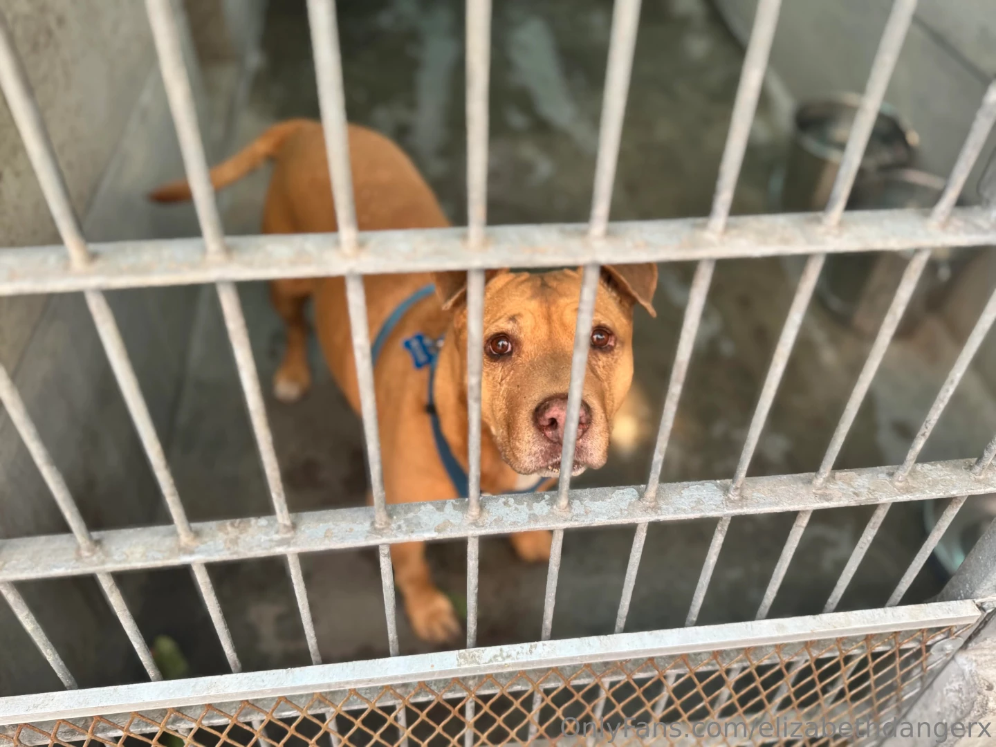 Something out of the usual today but wanna see my boobs want me to 