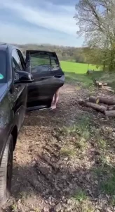 Naked wal in the forst omg i love it