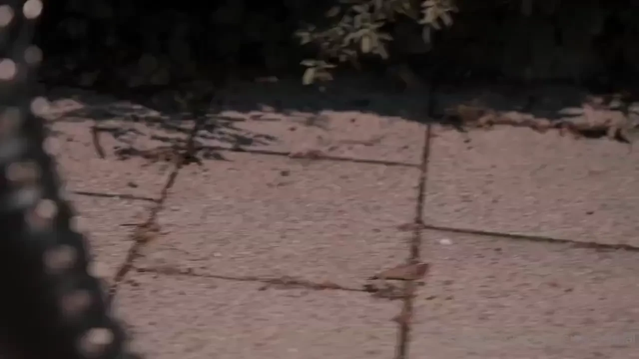 Part 1 ouhhh yeahhh that sweet asses swing there is nothing better 