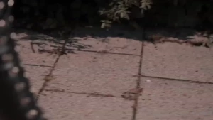 Part 1 ouhhh yeahhh that sweet asses swing there is nothing better