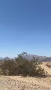 Joshua tree dump in la now and sosososo excited for tomorrowww