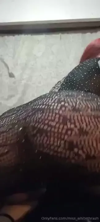 Let me ride your cock pleaseee 