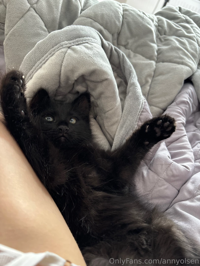 I missed my kitty terribly during the trip just look at this little 