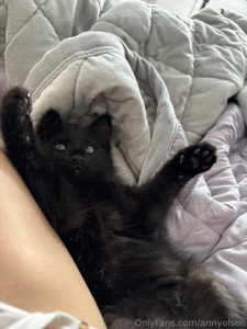 I missed my kitty terribly during the trip just look at this little