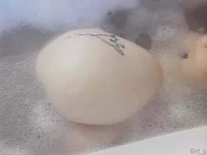 Ciao ragazzi che ne dite se un giorno facessi una live quando