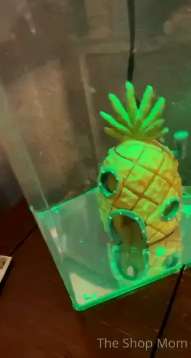 Happy 4th of july weekend baby i won a couple of fish at the fair 