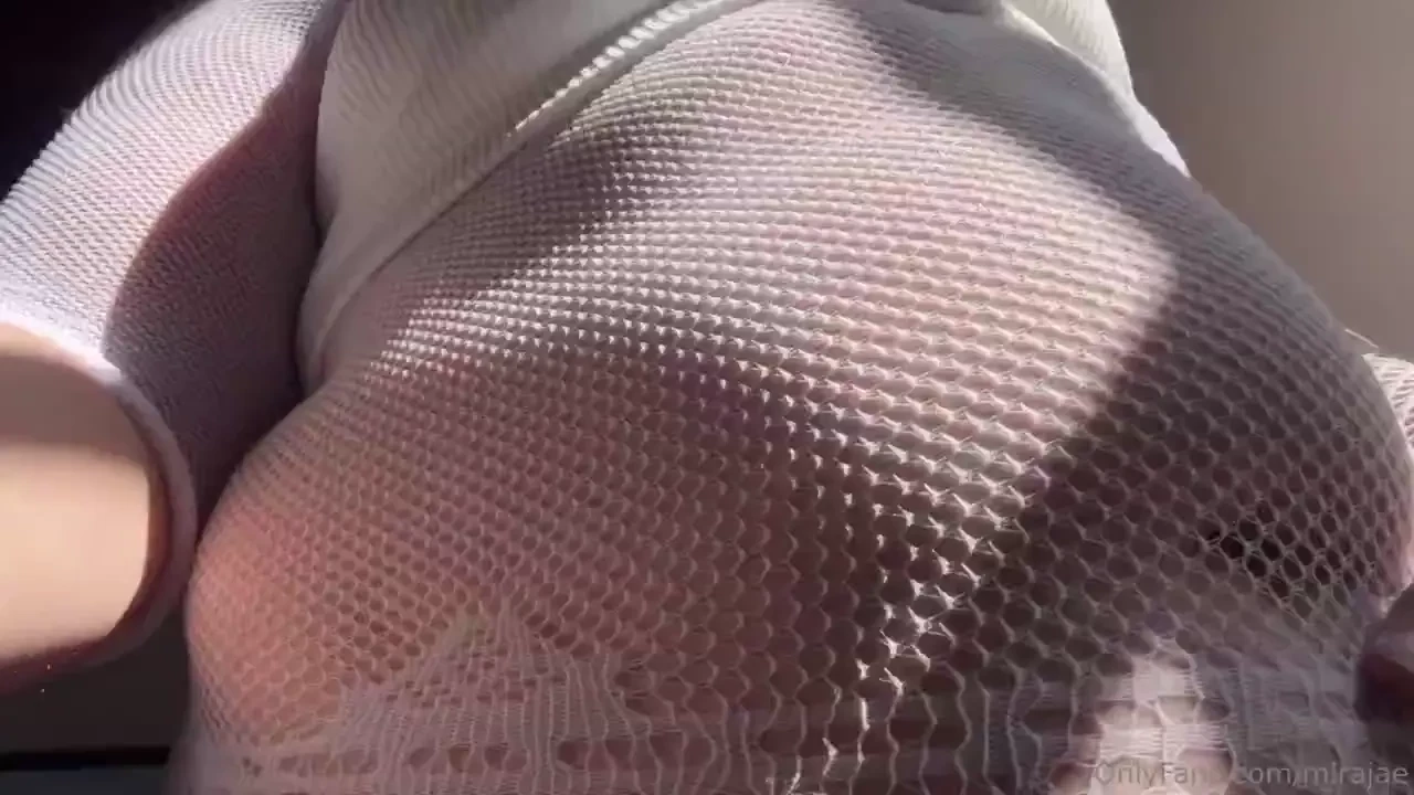 Bellissima loves the morning sunlight 