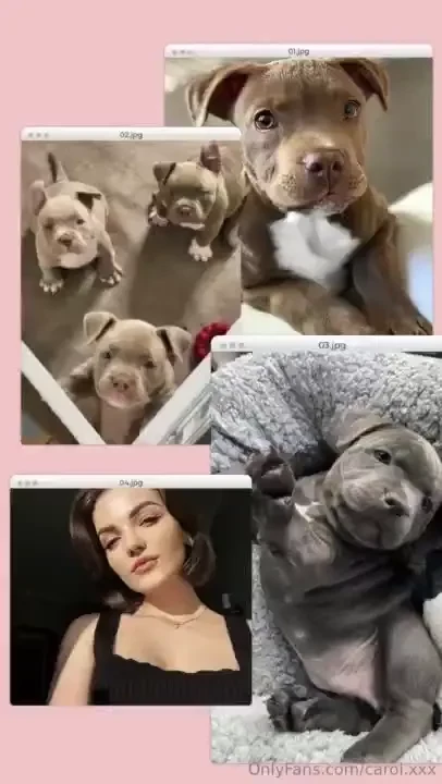 For as long as i can remember i ve dreamed of having a furry friend to 