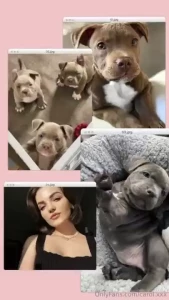 For as long as i can remember i ve dreamed of having a furry friend to