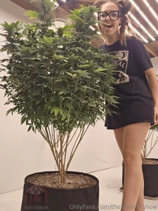 It s the 420 life for this girl freak77show