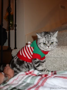 Merry christmas from me and my s hope you got everything you wished