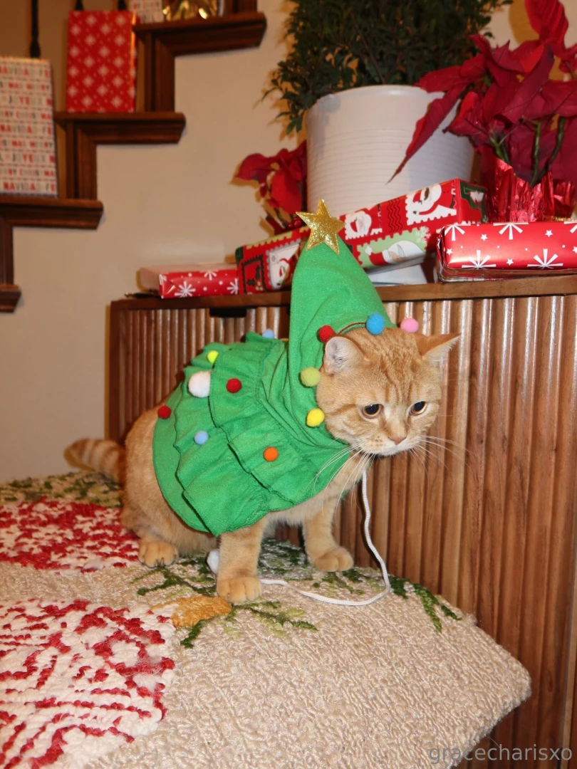 Merry christmas from me and my s hope you got everything you wished part 3 