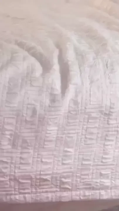 Prettyyassjas amp mill went nuts on treliveshows and his friend must 