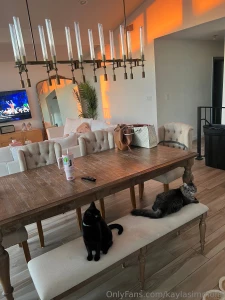 Are they planning a heist or just napping