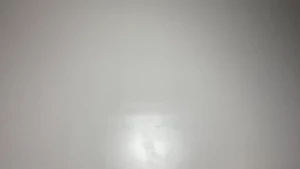 Luna flight attendant farts lunasspectacle