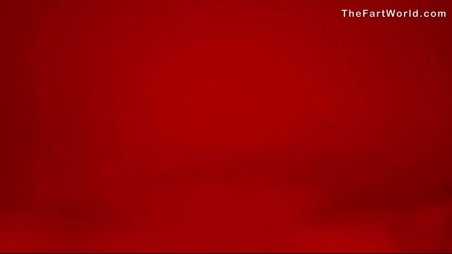 Bruna dutch oven we ve had just about every model on the page make a 