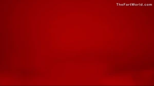 Bruna dutch oven we ve had just about every model on the page make a