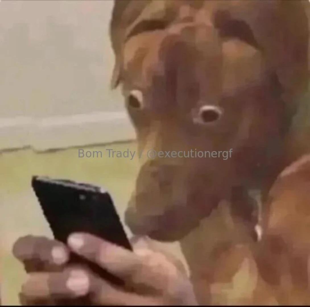 Meme dump mondayyhyhyyy 