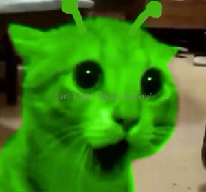 Gnarpy ahh meme dump part 4