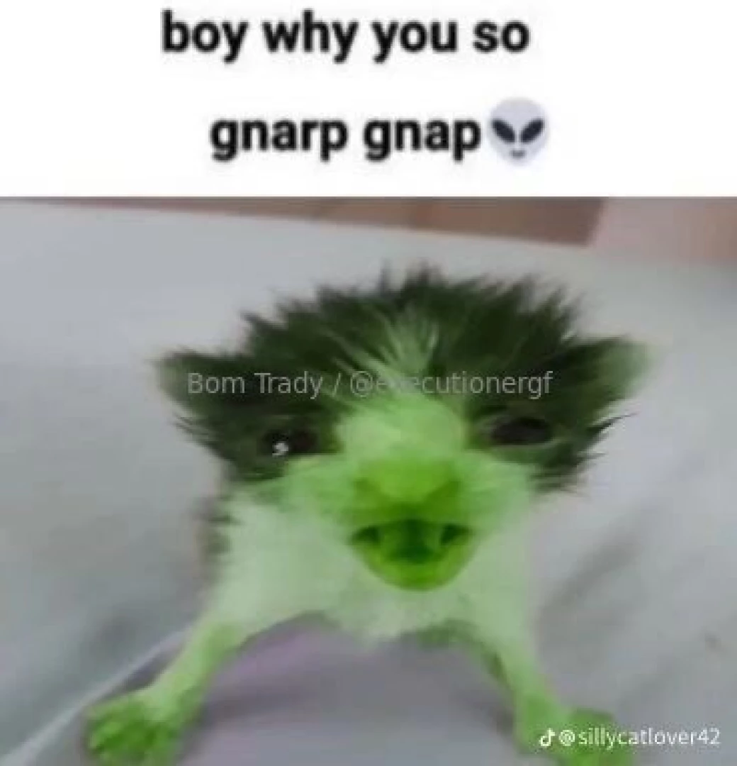 Gnarpy ahh meme dump part 2 