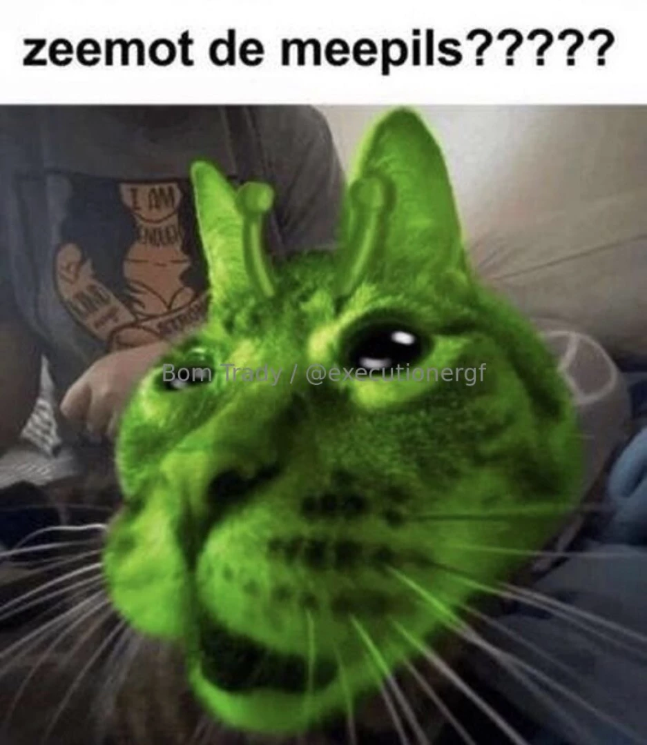 Gnarpy ahh meme dump part 5 