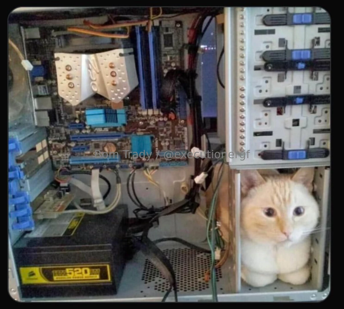 Bonus meme dump for september having 5 mondays part 2 