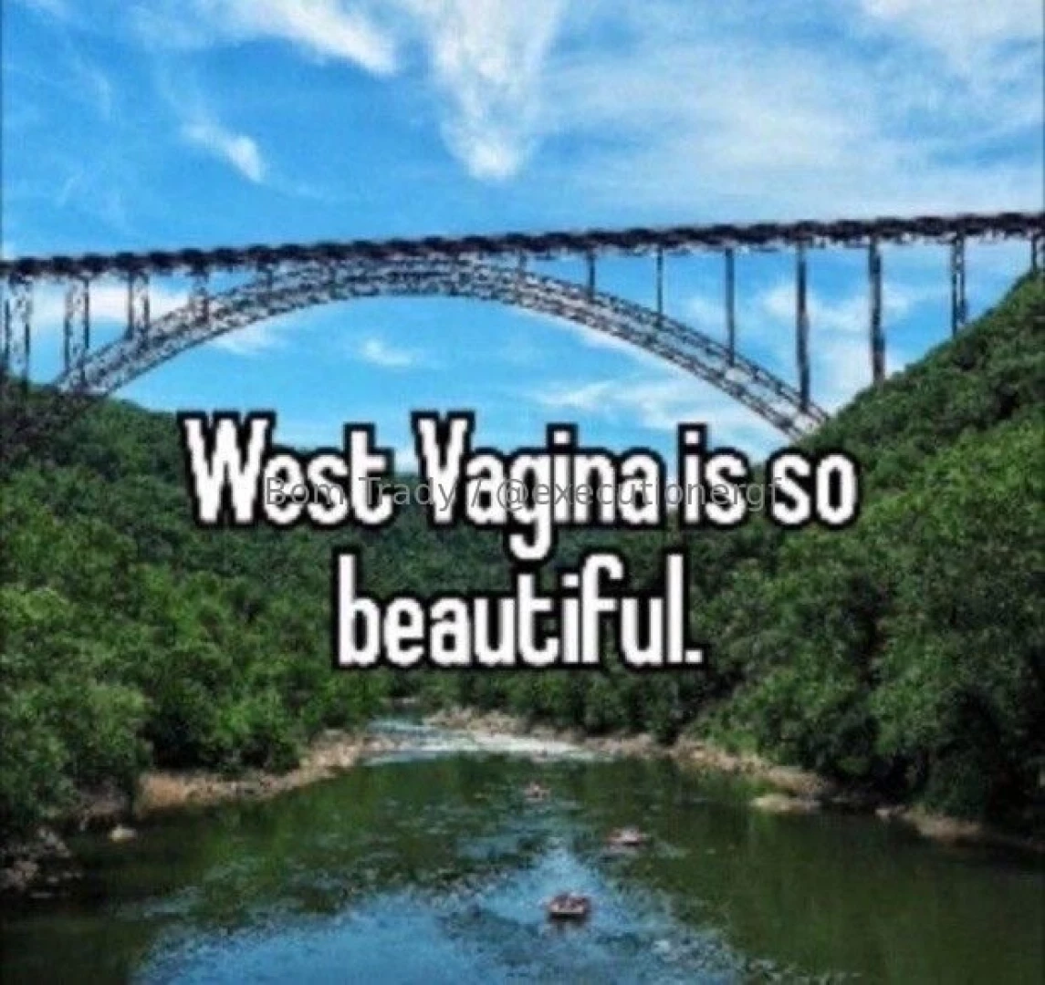 Quantum particle meme dump part 1 