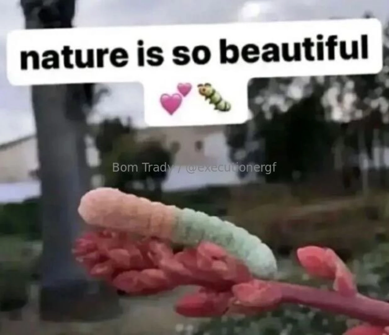 Quantum particle meme dump 