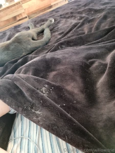 Next ppv will include a snippet of me squirting everywhere