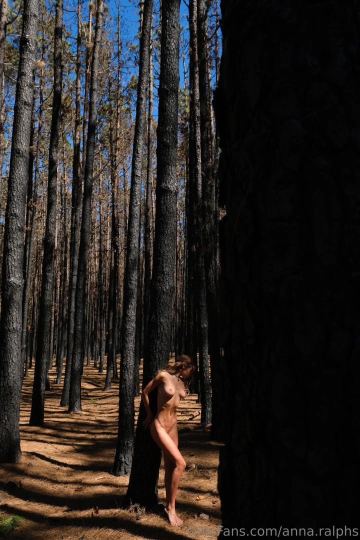 This forest enchanted me with its grandeur and solemn silence i felt 