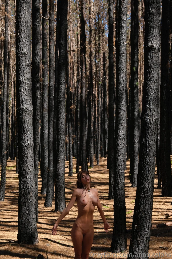 This forest enchanted me with its grandeur and solemn silence i felt part 1 