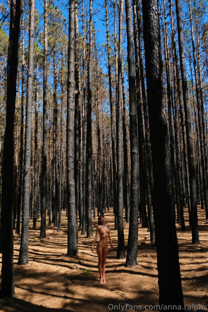 This forest enchanted me with its grandeur and solemn silence i felt part 2 