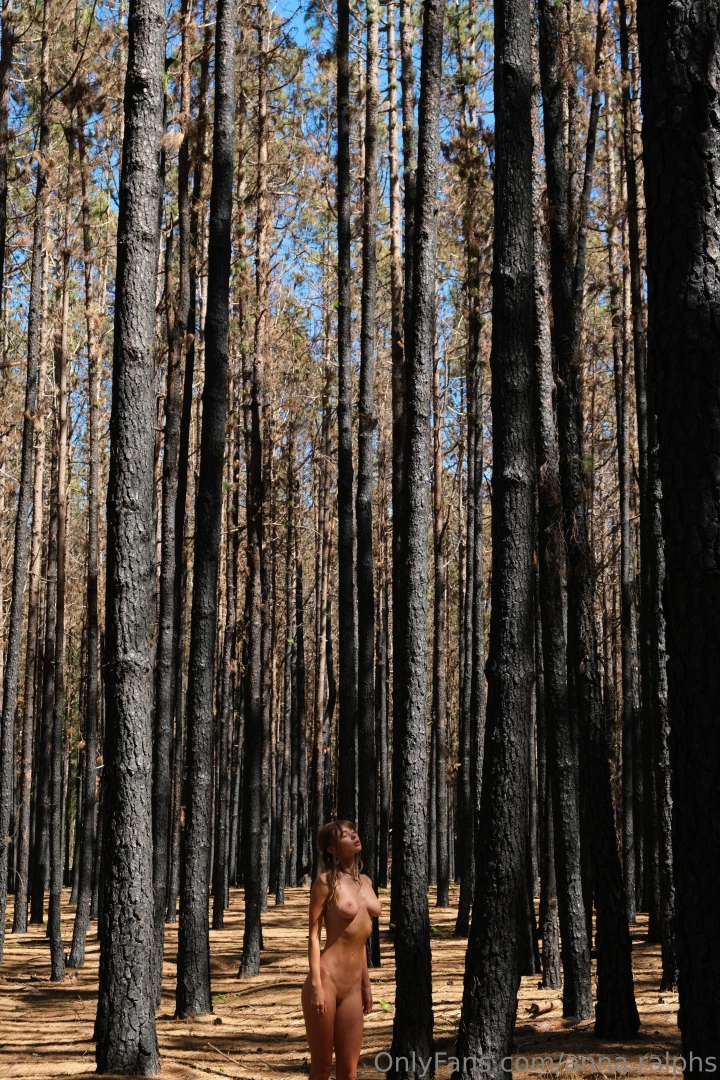 This forest enchanted me with its grandeur and solemn silence i felt part 5 