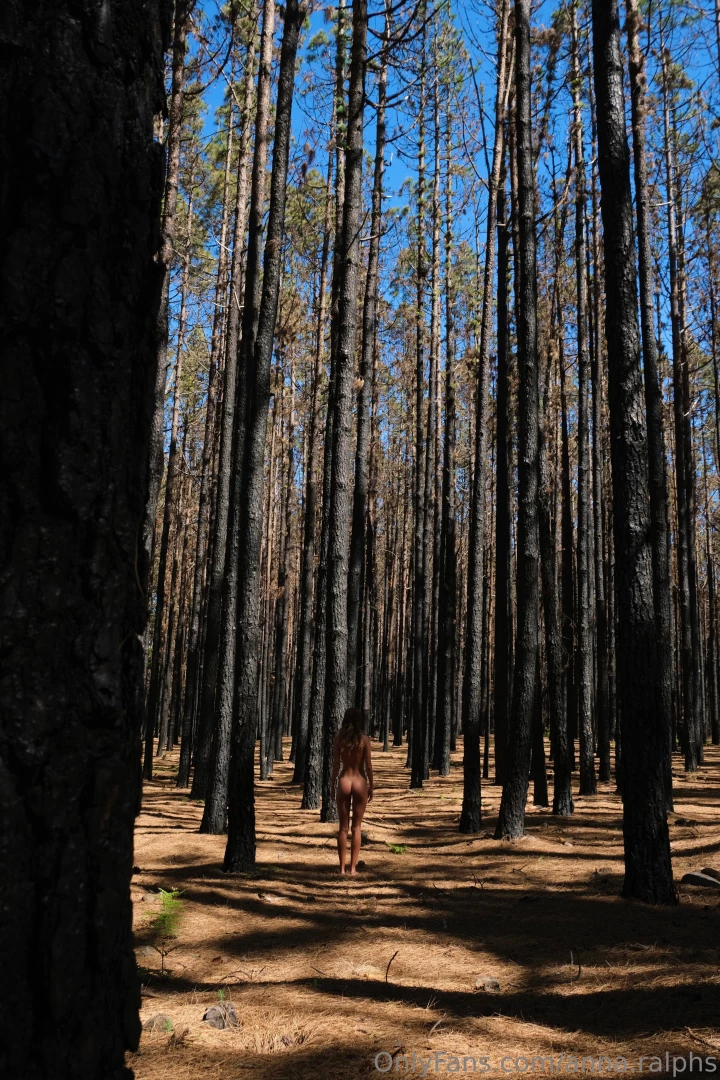 This forest enchanted me with its grandeur and solemn silence i felt part 6 