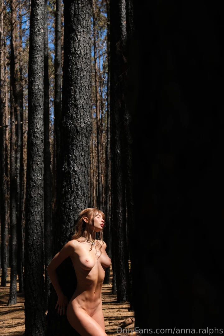 This forest enchanted me with its grandeur and solemn silence i felt part 8 