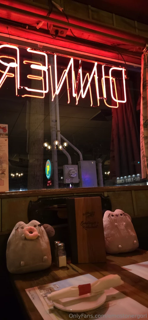 These pusheens were won from pure skill and intellect they now embark part 1 