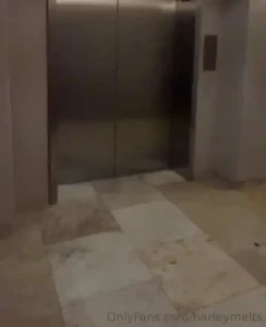 Harley just couldn t wait to get back to the room dm me if your