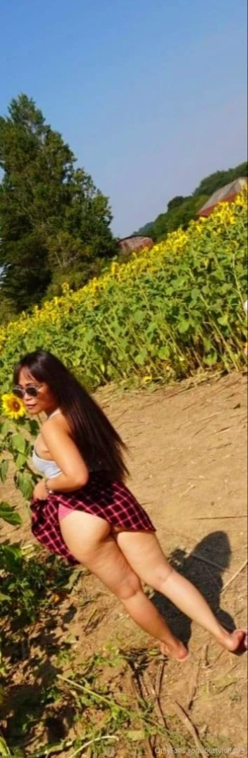 Sunflower picking part 1 