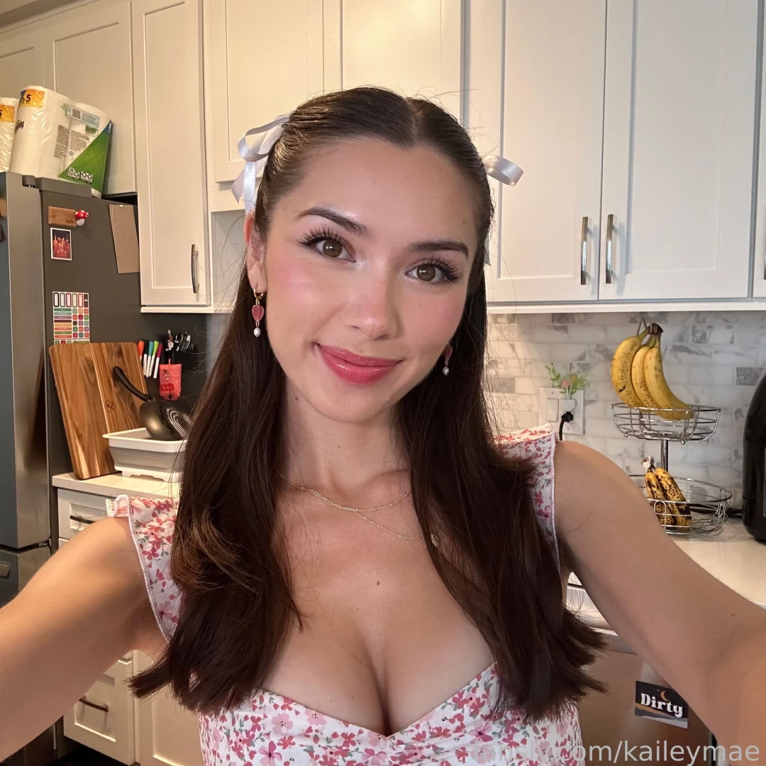 Made a yummy chicken biscuit pot pie on stream last night that i was 