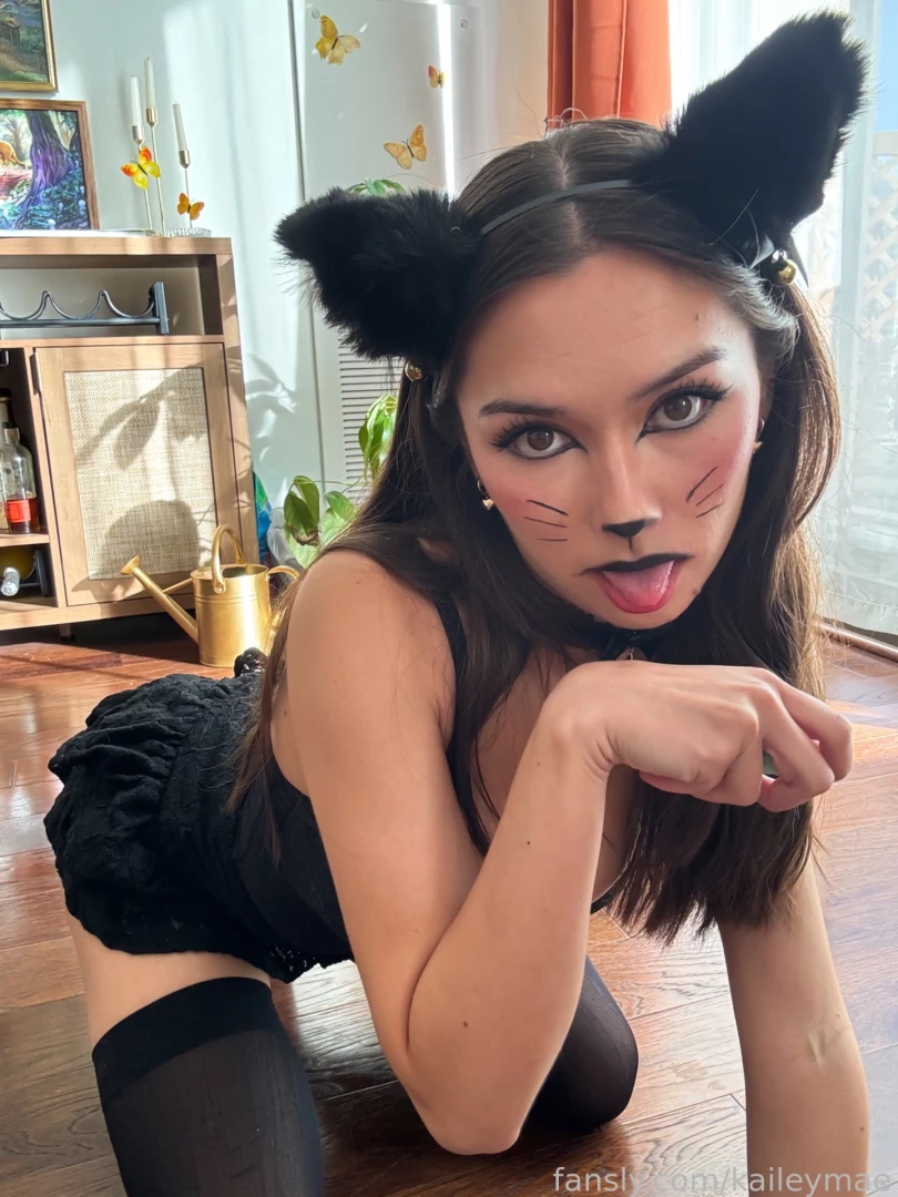 Meow this little kitty is on all fours for you are you going to pet 