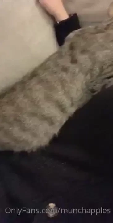 Playing with my pussy cat if you would like to see me play with my 