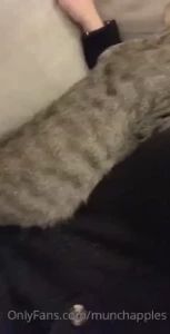 Playing with my pussy cat if you would like to see me play with my