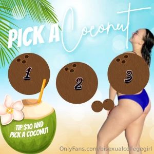 Pick a coconut let s have some summer fun tip 10 and pick a coconut to