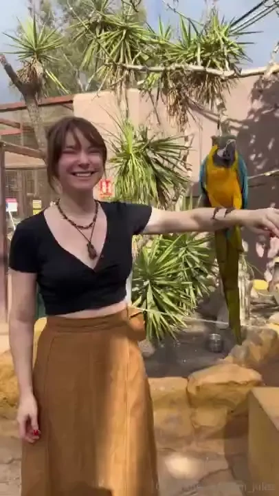 Went to a small zoo in the mountains look how cute they are 